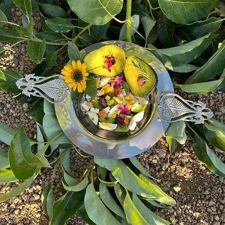 Krisant Gold Rural Luxury Privat Pool *