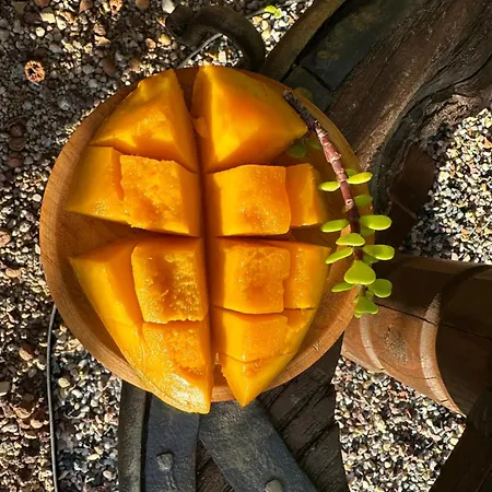 Krisant Gold Rural Luxury Privat Pool * Santa Cruz de Tenerife