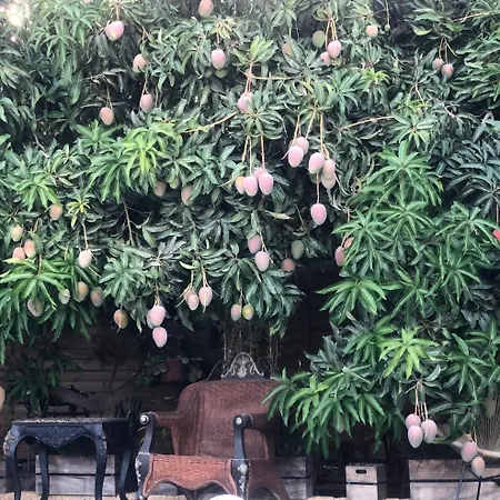 Krisant Gold Rural Luxury Privat Pool * Santa Cruz de Tenerife