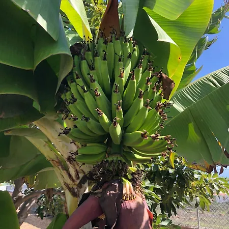 Krisant Gold Rural Luxury Privat Pool