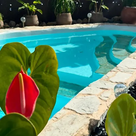 ヴィラ Krisant Gold Rural Luxury Privat Pool サンタクルスデテネリフェ