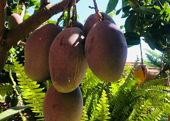 Krisant Gold Rural Luxury Privat Pool Villa *