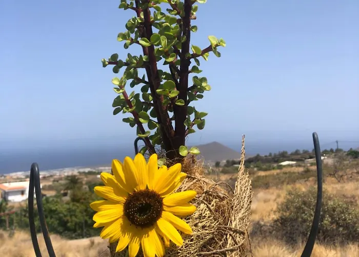 Krisant Gold Rural Luxury Privat Pool